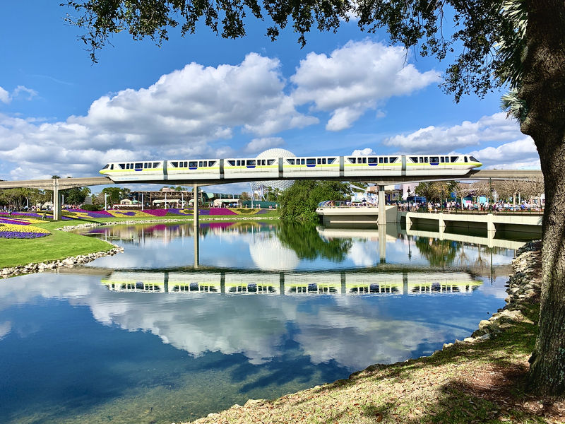 Walt Disney World Resort Update for February 19-24, 2020