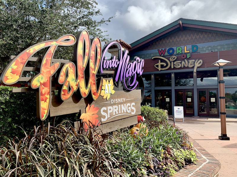 Walt Disney World Resort Update for October 27 - November 2, 2020