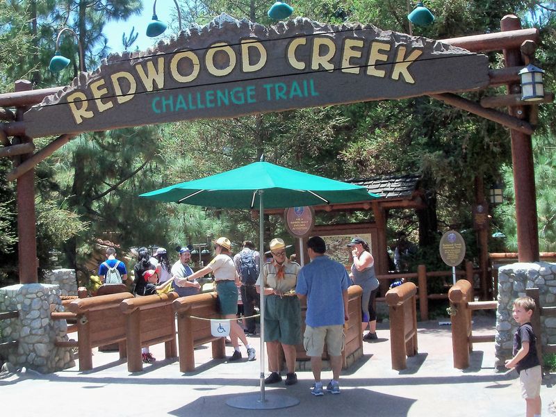 Redwood Creek Challenge Trail: The Adventure Awaits