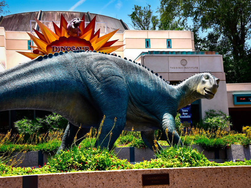 My Disney Top 5 - Things to Love About Dinosaur at Disney's Animal Kingdom