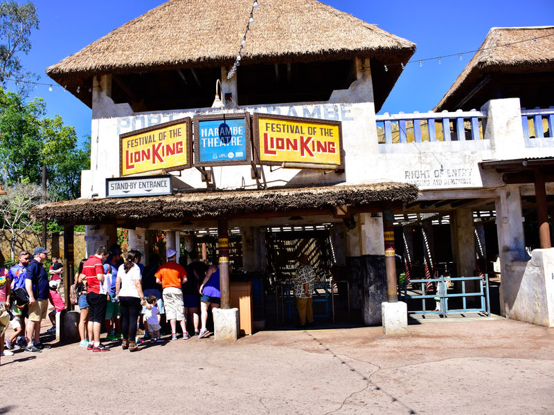 My Disney Top 5 - Things to Love About Festival of the Lion King at Disney's Animal Kingdom