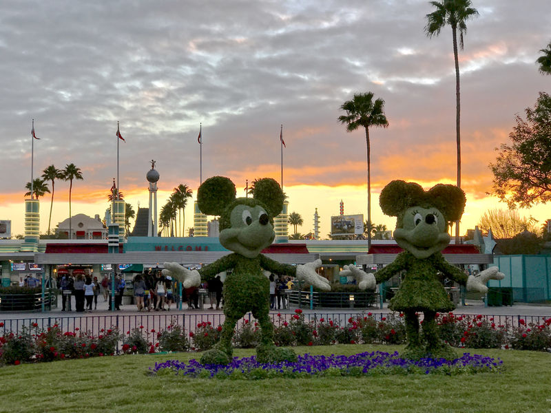 Walt Disney World Resort Update for January 18-23, 2017