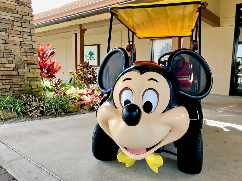 Walt Disney World Resort Update for February 27 - March 5, 2018