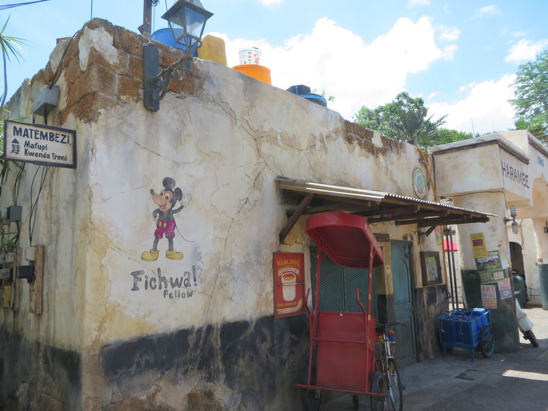 My Disney Top 5 - Things to See in Animal Kingdom's Africa