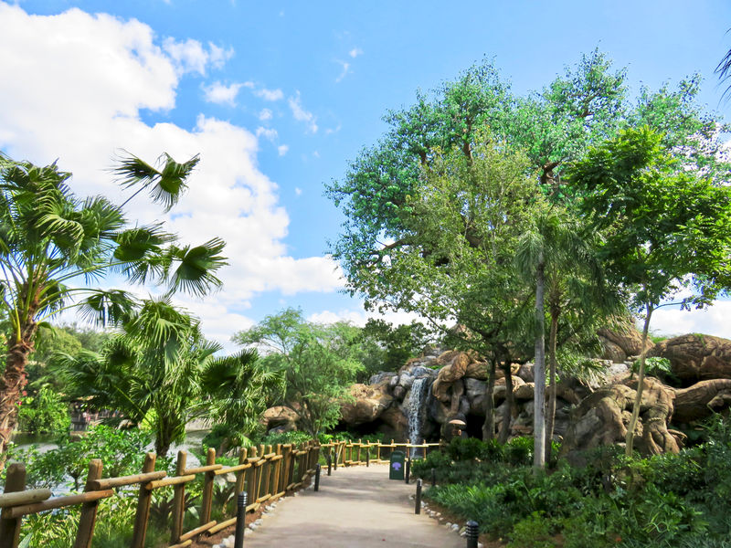 My Disney Top 5 - Things to Love About Animal Kingdom's Discovery Island Trails