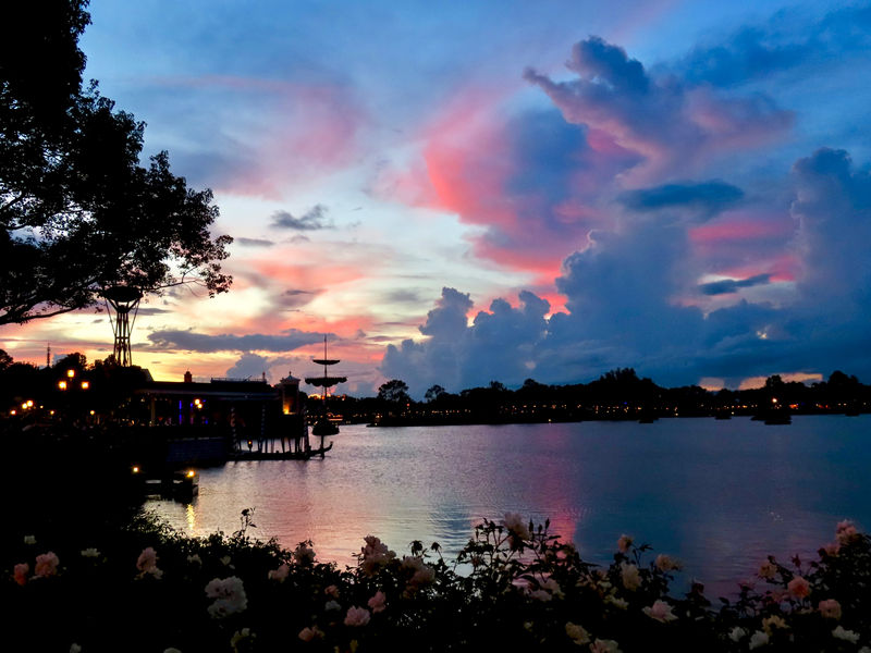 Walt Disney World Resort Update for October 2-8, 2018
