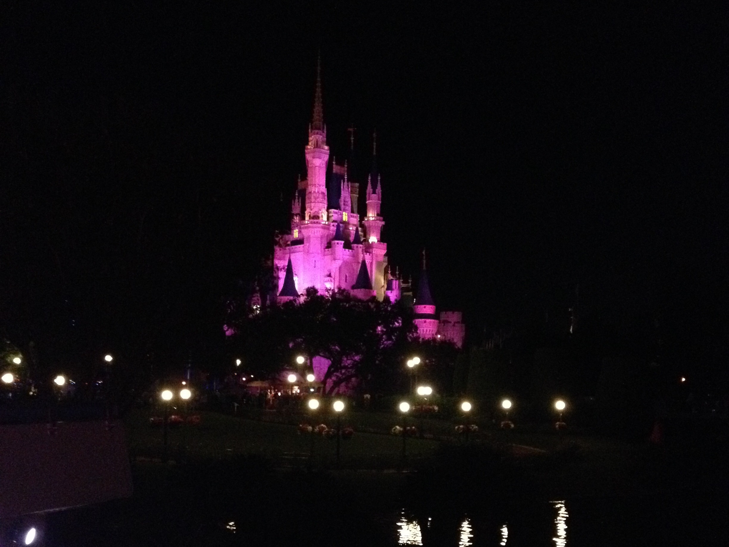 Planning a Day in the Magic Kingdom with Toddlers