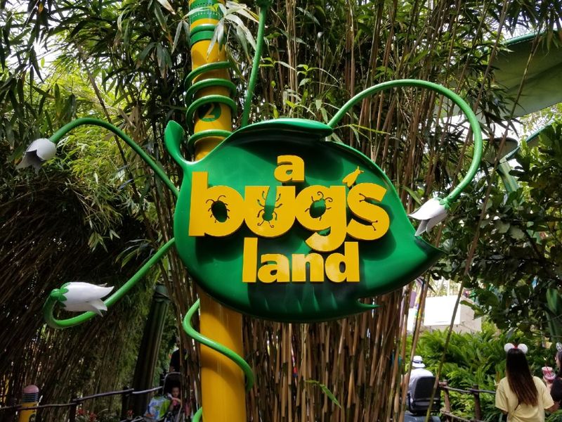 A Marvelous Bug's Land
