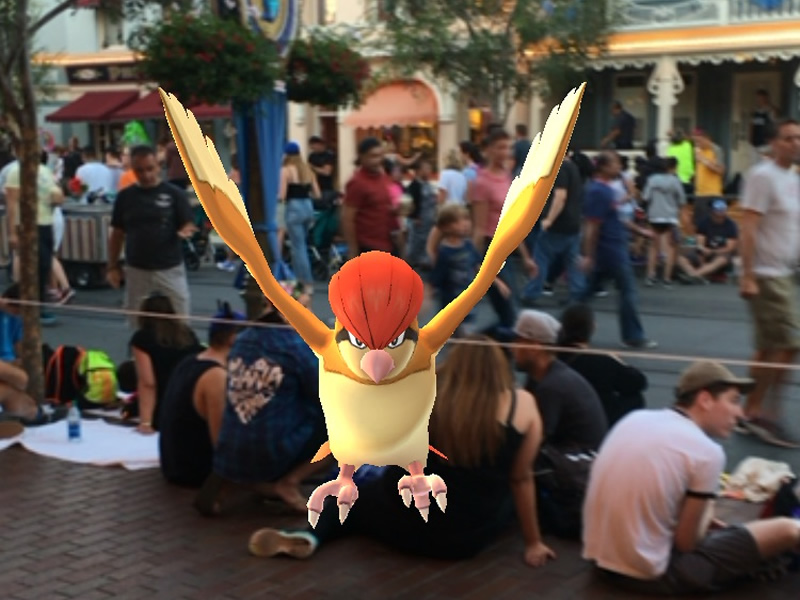 Playing Pokemon Go at the Disney parks
